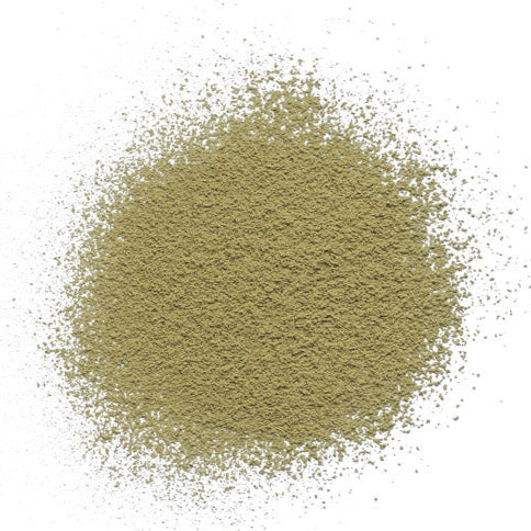 Jasmine Matcha